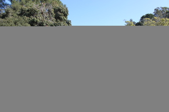 Enlarge photo 224