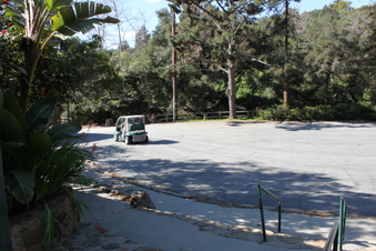 Enlarge photo 12