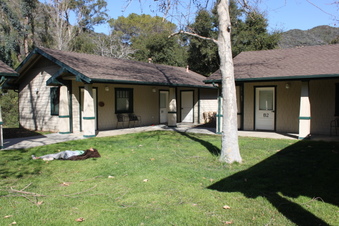 Enlarge photo 49