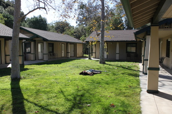 Enlarge photo 51
