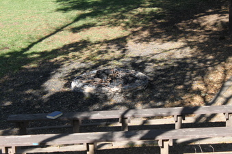 Enlarge photo 65
