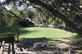 Enlarge photo 67