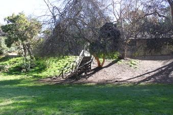 Enlarge photo 74