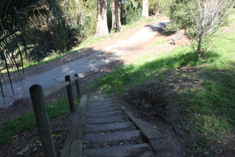 Enlarge photo 77