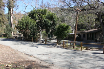 Enlarge photo 79