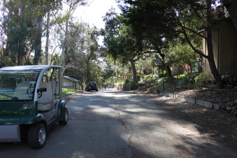 Enlarge photo 109