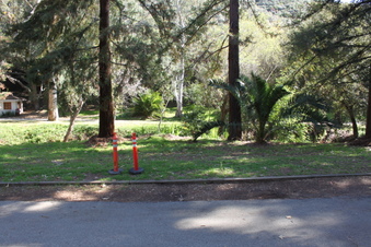Enlarge photo 110