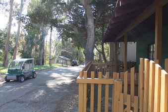Enlarge photo 112
