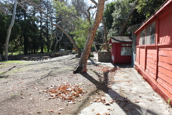 Enlarge photo 168