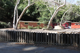 Enlarge photo 174