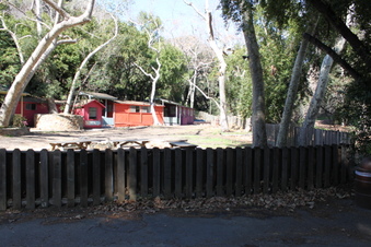 Enlarge photo 176