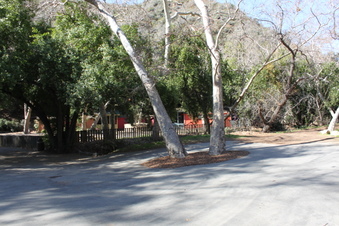 Enlarge photo 185