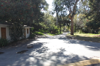 Enlarge photo 189