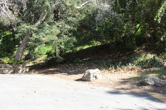Enlarge photo 191