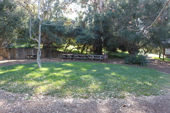 Enlarge photo 213