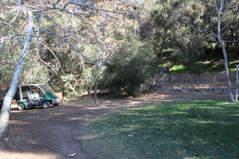 Enlarge photo 216