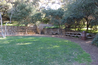 Enlarge photo 215