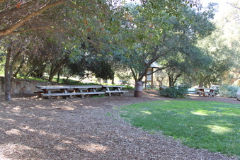 Enlarge photo 218