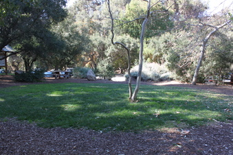 Enlarge photo 217