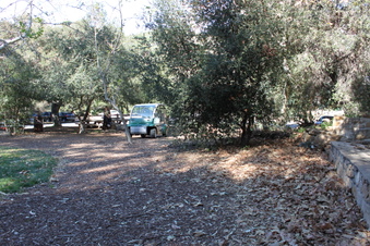 Enlarge photo 219