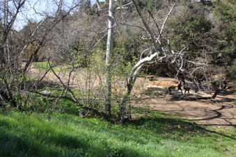 Enlarge photo 220