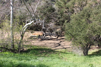 Enlarge photo 221