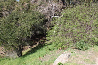 Enlarge photo 223