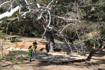 Enlarge photo 222