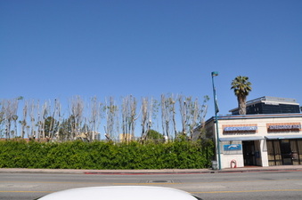 Enlarge photo 38
