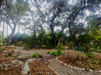 Enlarge photo 13