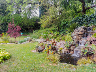 Enlarge photo 42