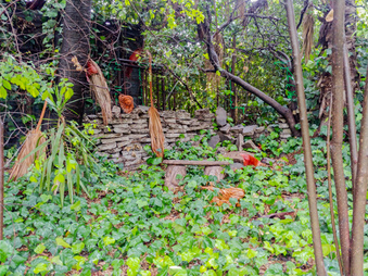 Enlarge photo 46