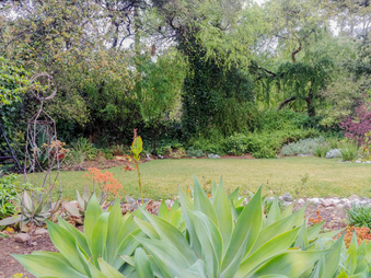 Enlarge photo 63