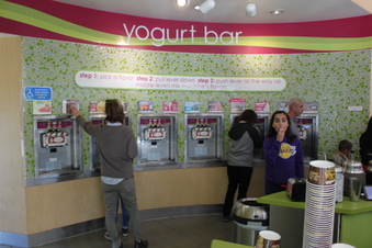 Frozen Yogurt