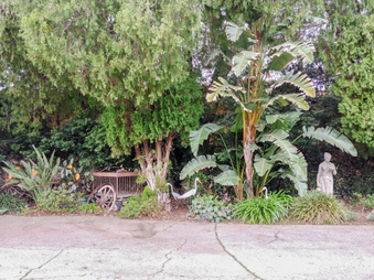 Enlarge photo 20