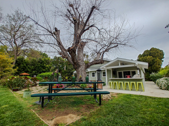 Enlarge photo 36