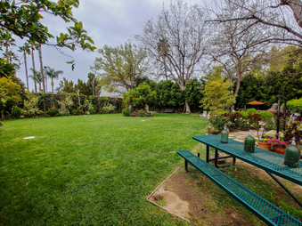 Enlarge photo 38