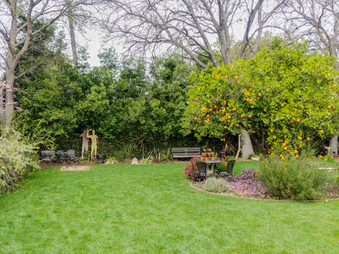 Enlarge photo 41