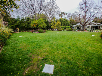 Enlarge photo 45