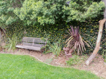 Enlarge photo 49
