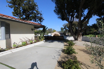 Enlarge photo 43