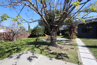 Enlarge photo 16