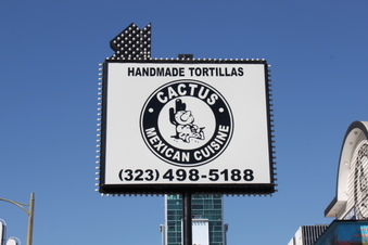 Cactus Hollywood