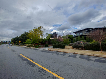 Enlarge photo 113