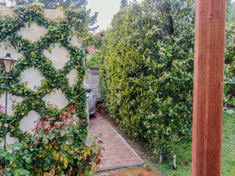 Enlarge photo 38