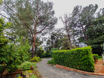 Enlarge photo 10