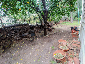 Enlarge photo 13