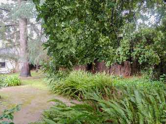 Enlarge photo 22
