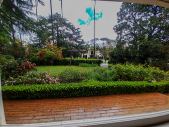 Enlarge photo 67