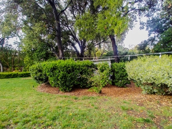 Enlarge photo 37